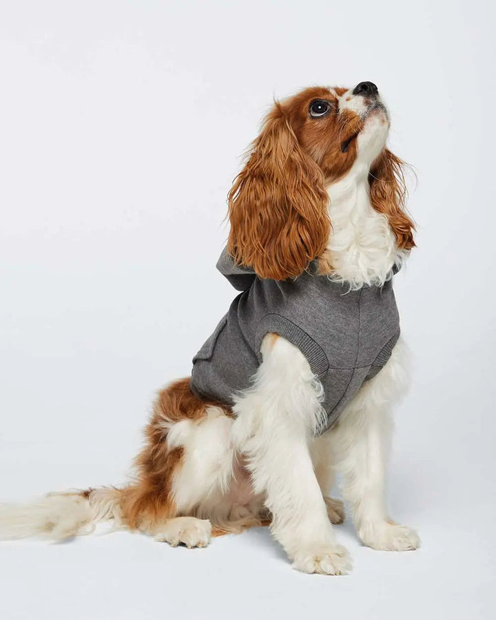 Custom Doggie 3-End Fleece Hooded Sweatshirt - 3926