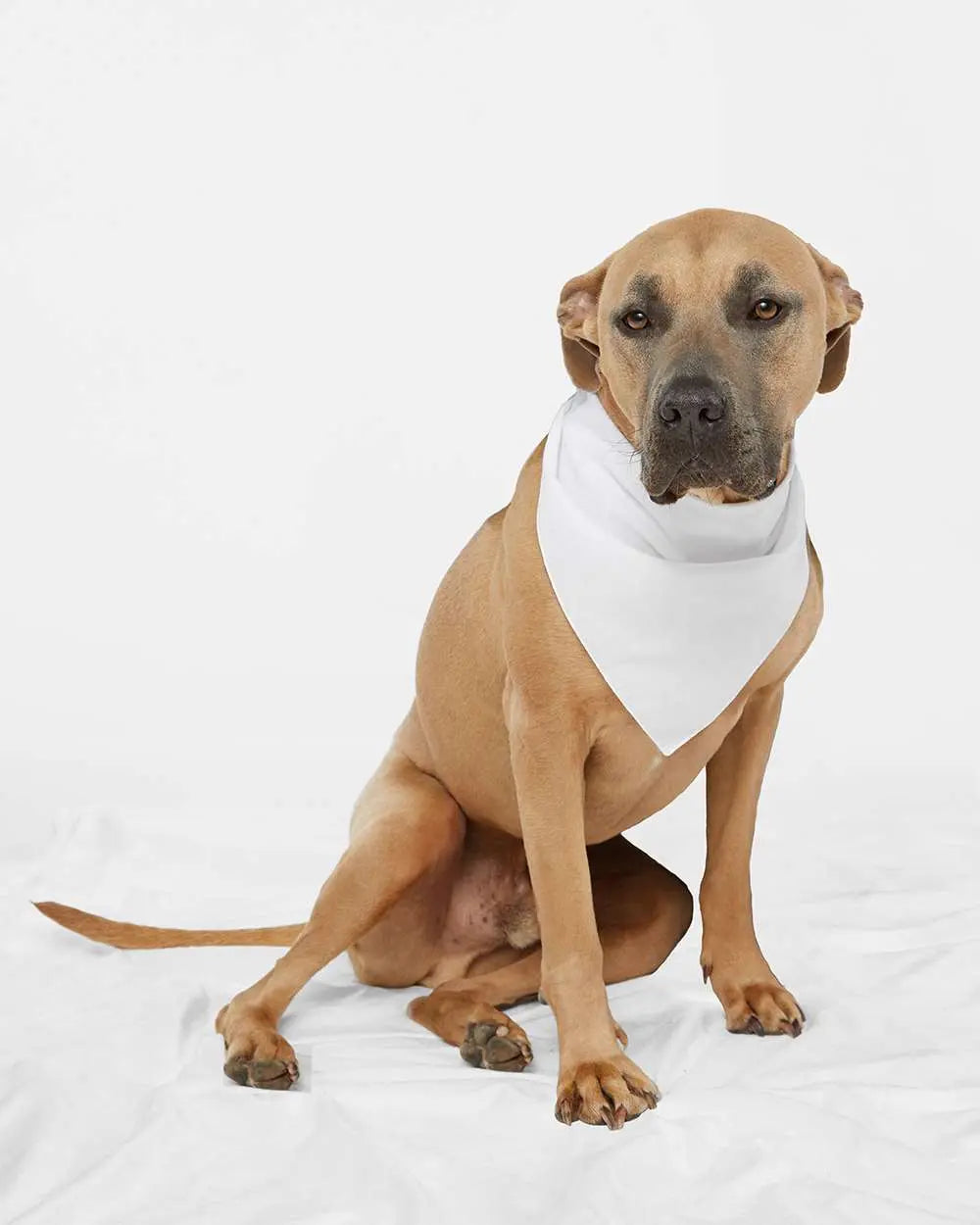 Custom Doggie Skins USA-Made Doggie Bandana - 3905
