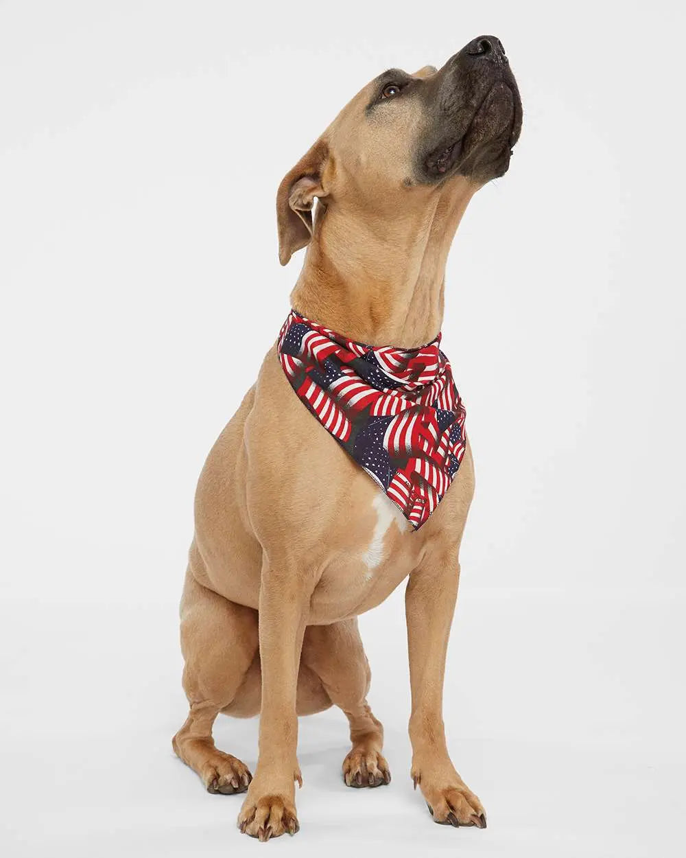Custom Doggie Skins USA-Made Doggie Bandana - 3905