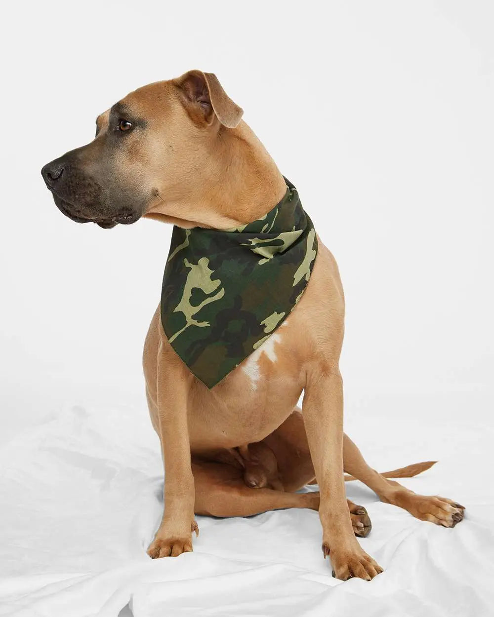 Custom Doggie Skins USA-Made Doggie Bandana - 3905