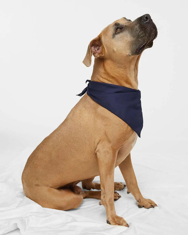 Custom Embroidered Doggie Skins USA-Made Doggie Bandana - 3905