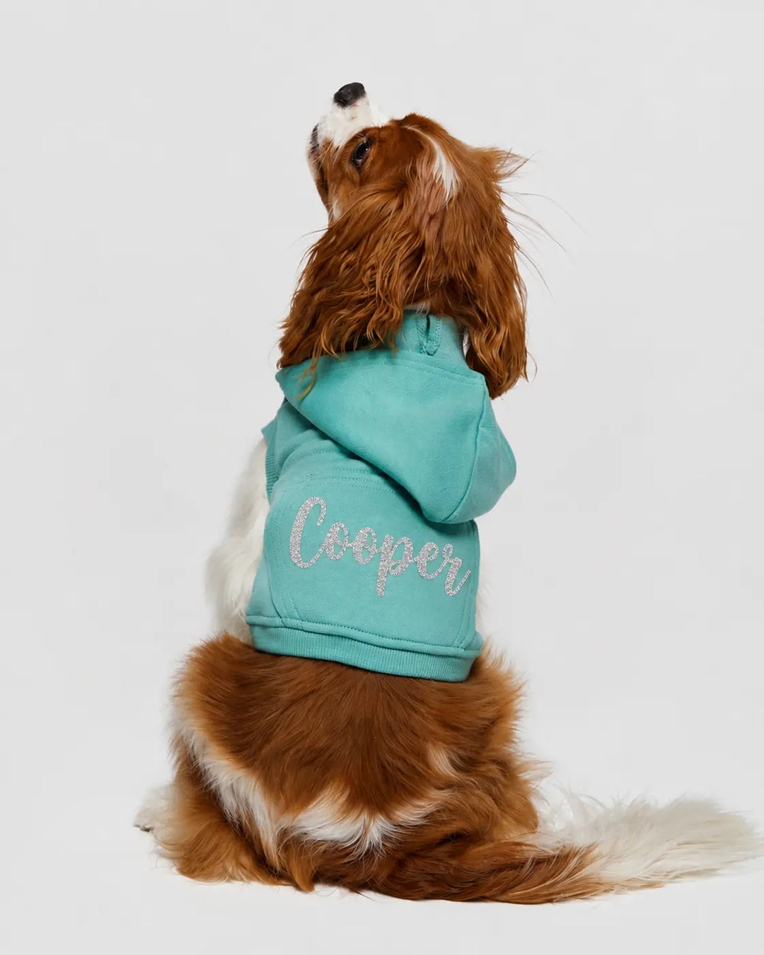 Custom Glitter Doggie 3-End Fleece Hooded Sweatshirt - 3926