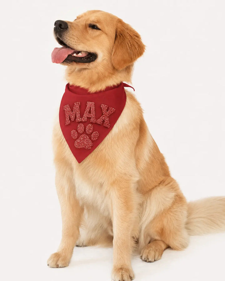 Custom Glitter Doggie Skins USA-Made Doggie Bandana - 3905