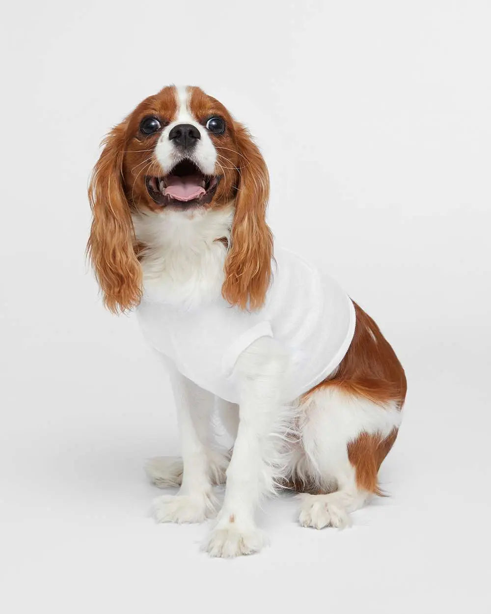 Custom Glitter Doggie Skins Doggie Tank - 3902