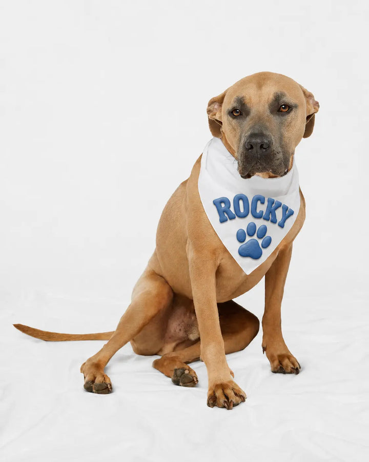 Custom Puff Doggie Skins USA-Made Doggie Bandana - 3905