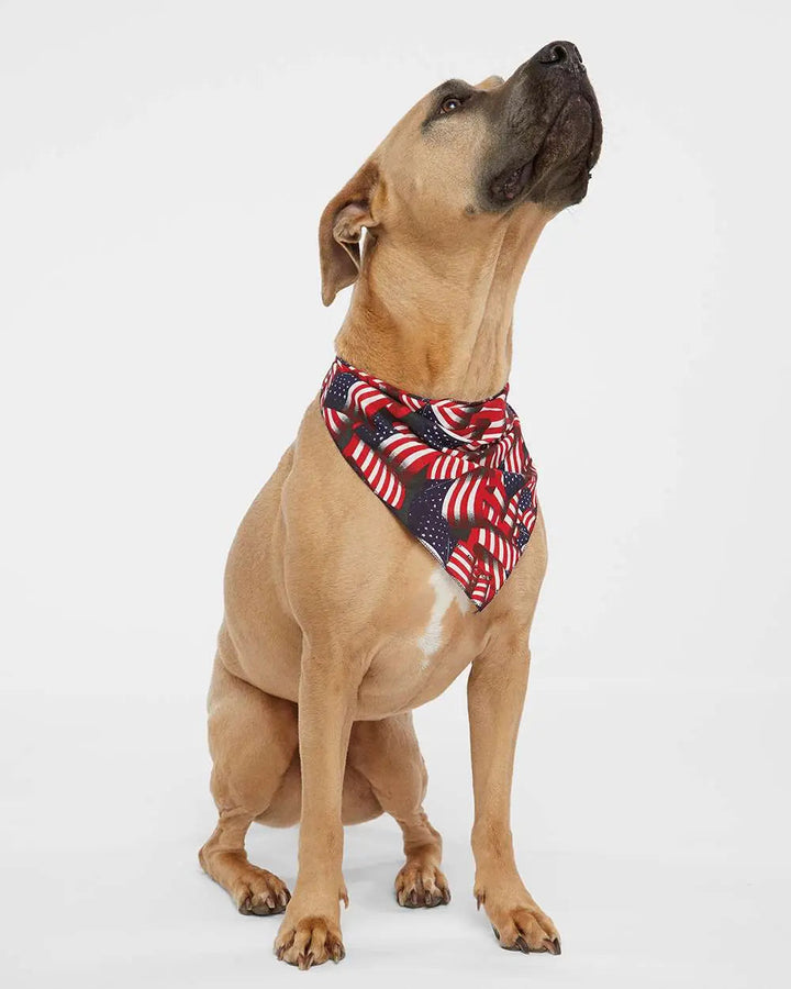 Doggie Skins USA-Made Doggie Bandana - 3905 Cypress DTF