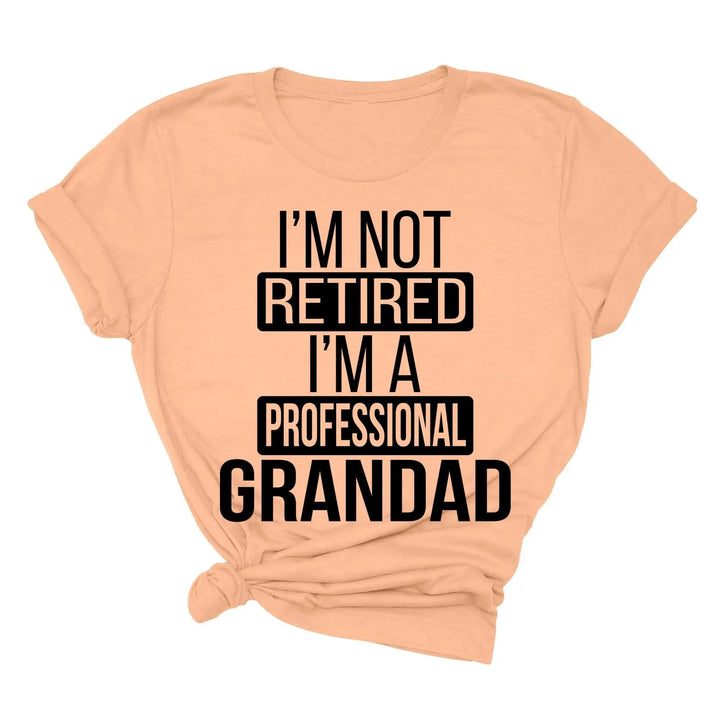 I'm Not Retired, I'm a Professional Grandad - Funny Gift Tee Cypress DTF